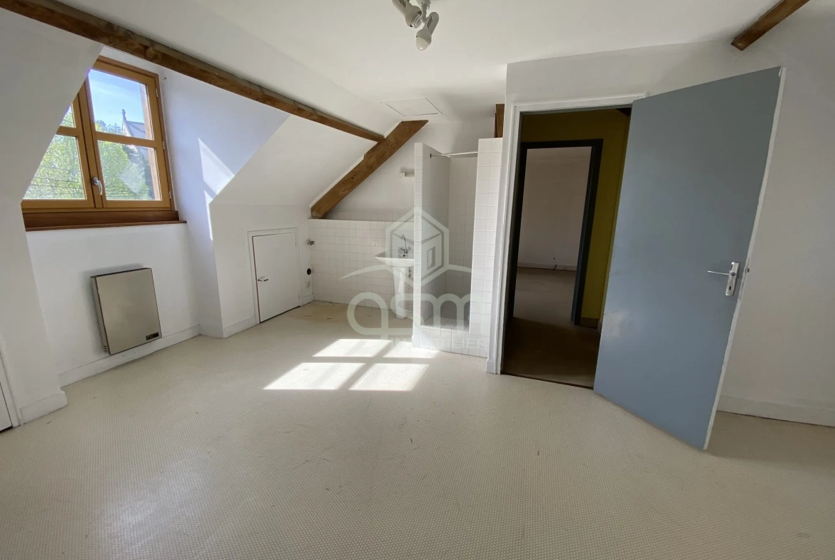 Local professionnel à réaménager au cœur de Sainte-Maure-de-Touraine 