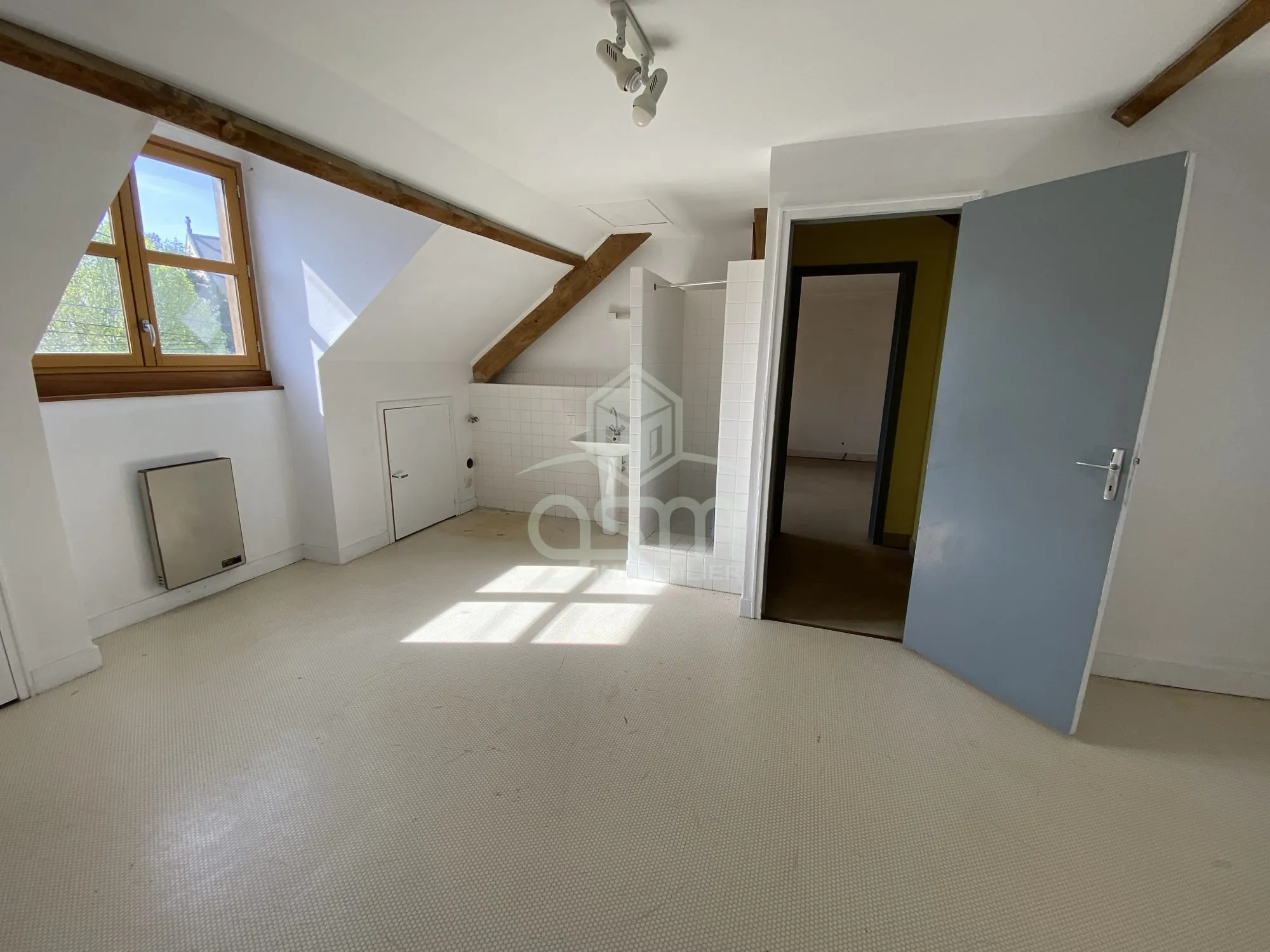 Local professionnel à réaménager au cœur de Sainte-Maure-de-Touraine 