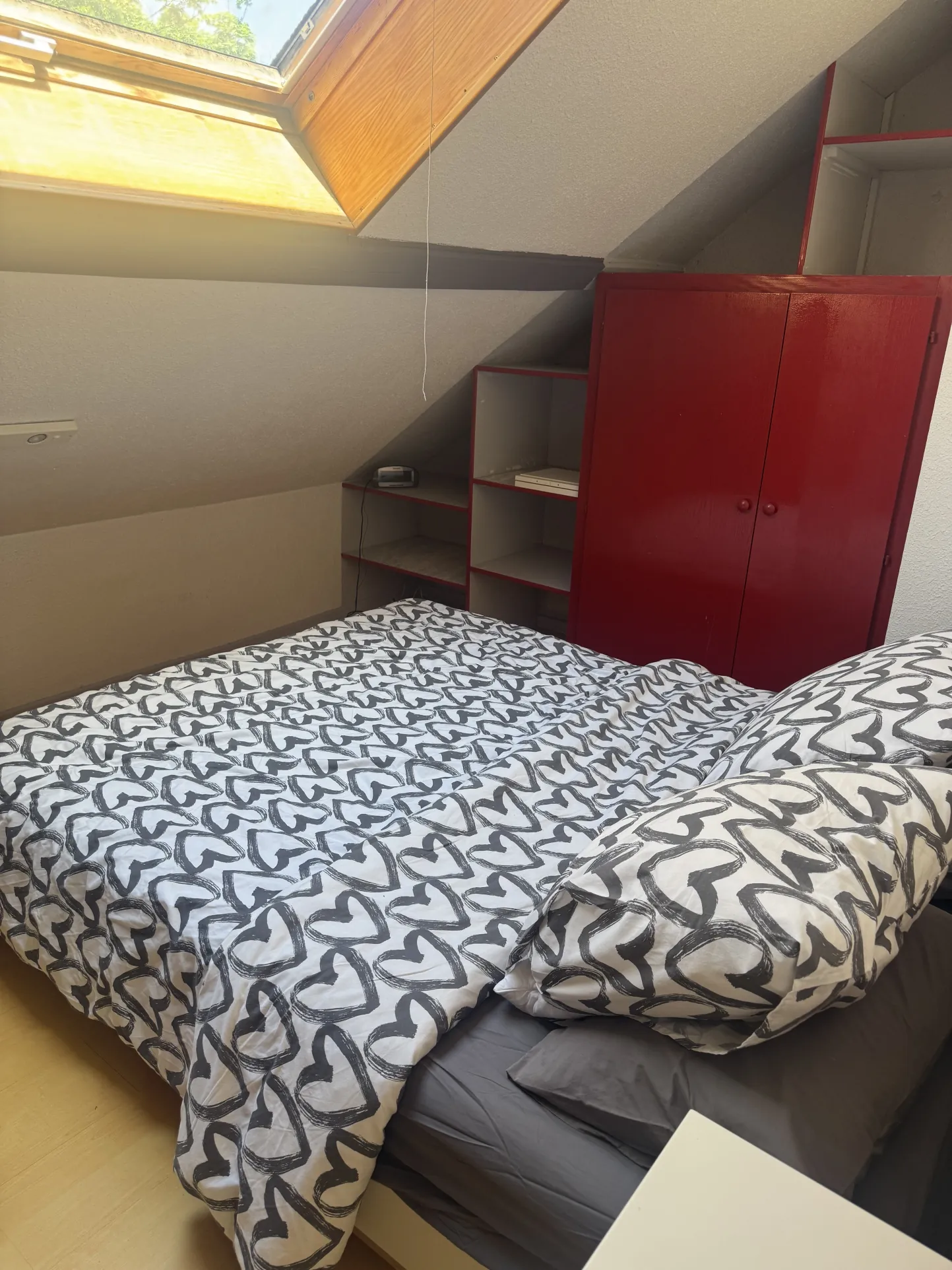 Appartement duplex 3 chambres avec jardin à Colmar - Achat immobilier 
