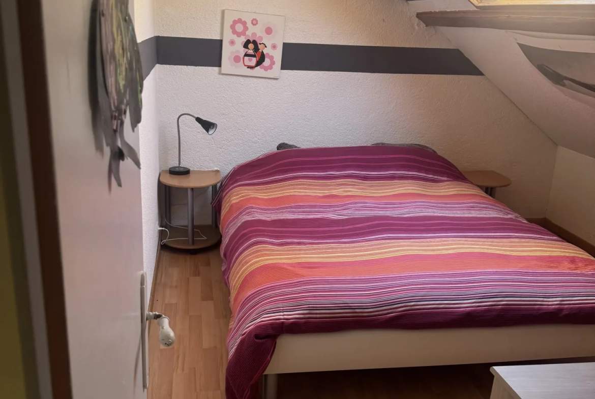 Appartement duplex 3 chambres avec jardin à Colmar - Achat immobilier 