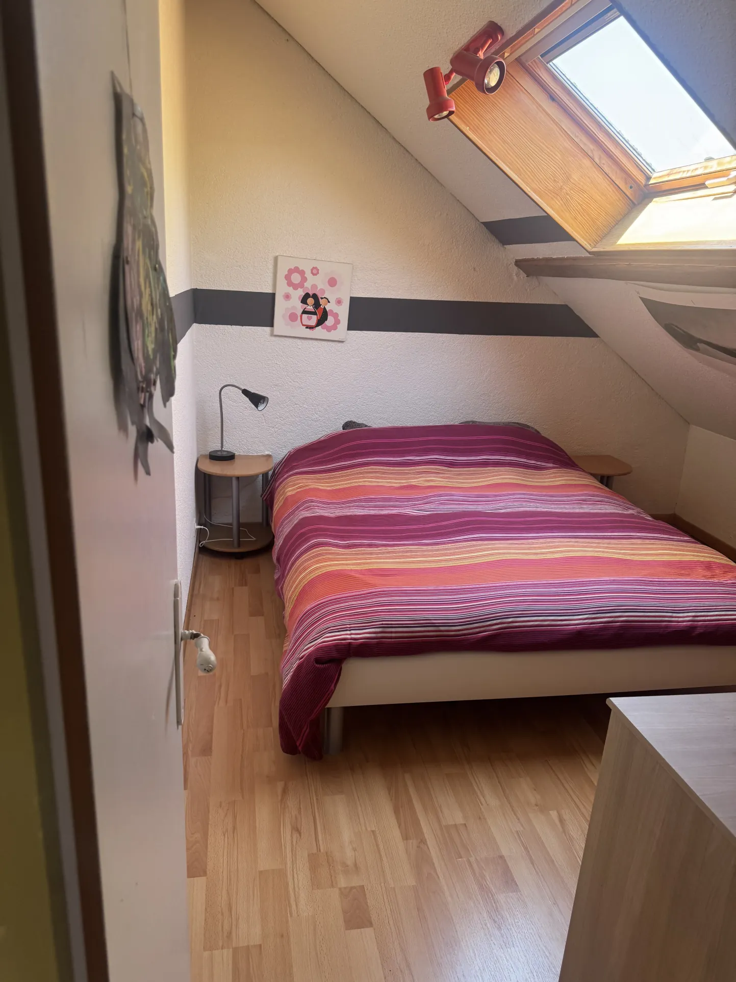 Appartement duplex 3 chambres avec jardin à Colmar - Achat immobilier 