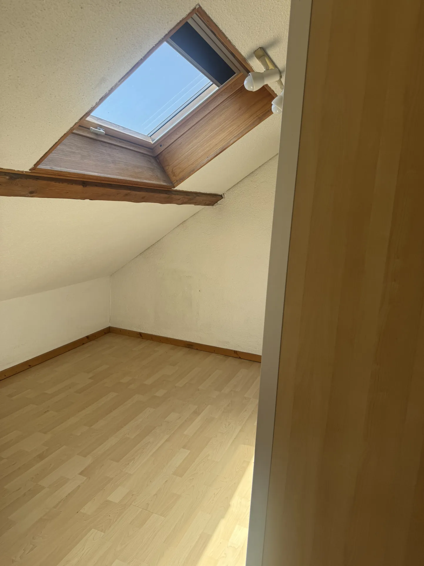 Appartement duplex 3 chambres avec jardin à Colmar - Achat immobilier 