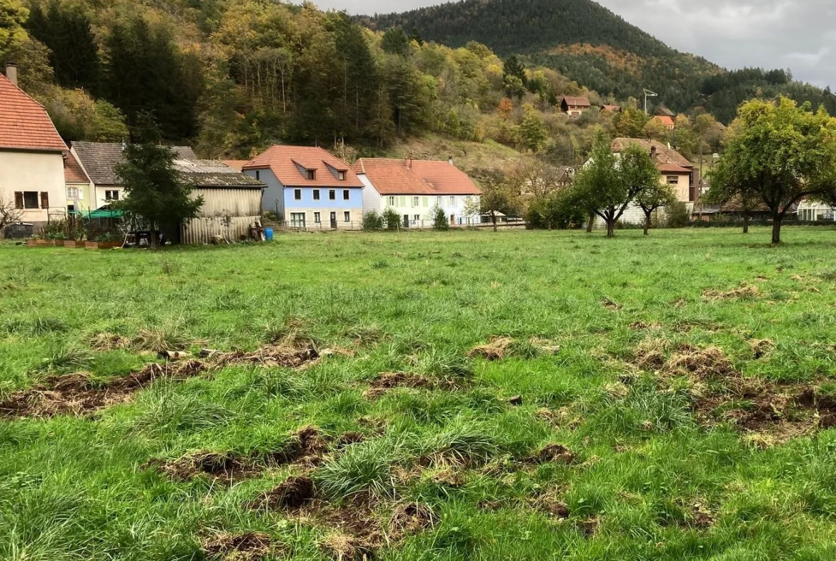 Terrain à vendre à Rombach-le-Franc, constructible et prêt à bâtir 