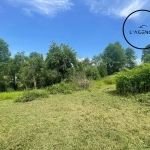 Terrain constructible de 1000 m² à Moyen, idéal pour projet immobilier