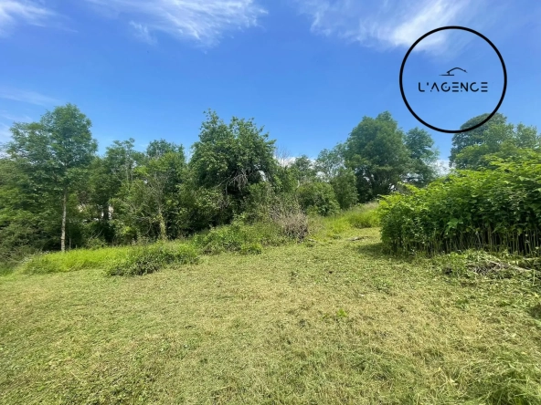 Terrain constructible de 1000 m² à Moyen, idéal pour projet immobilier