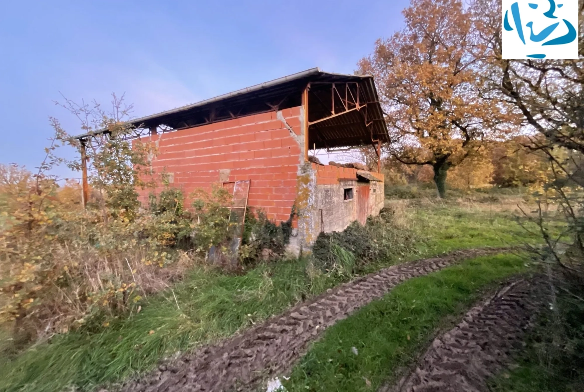 Maison ancienne à rénover à Sérignac avec grand terrain et dépendances 