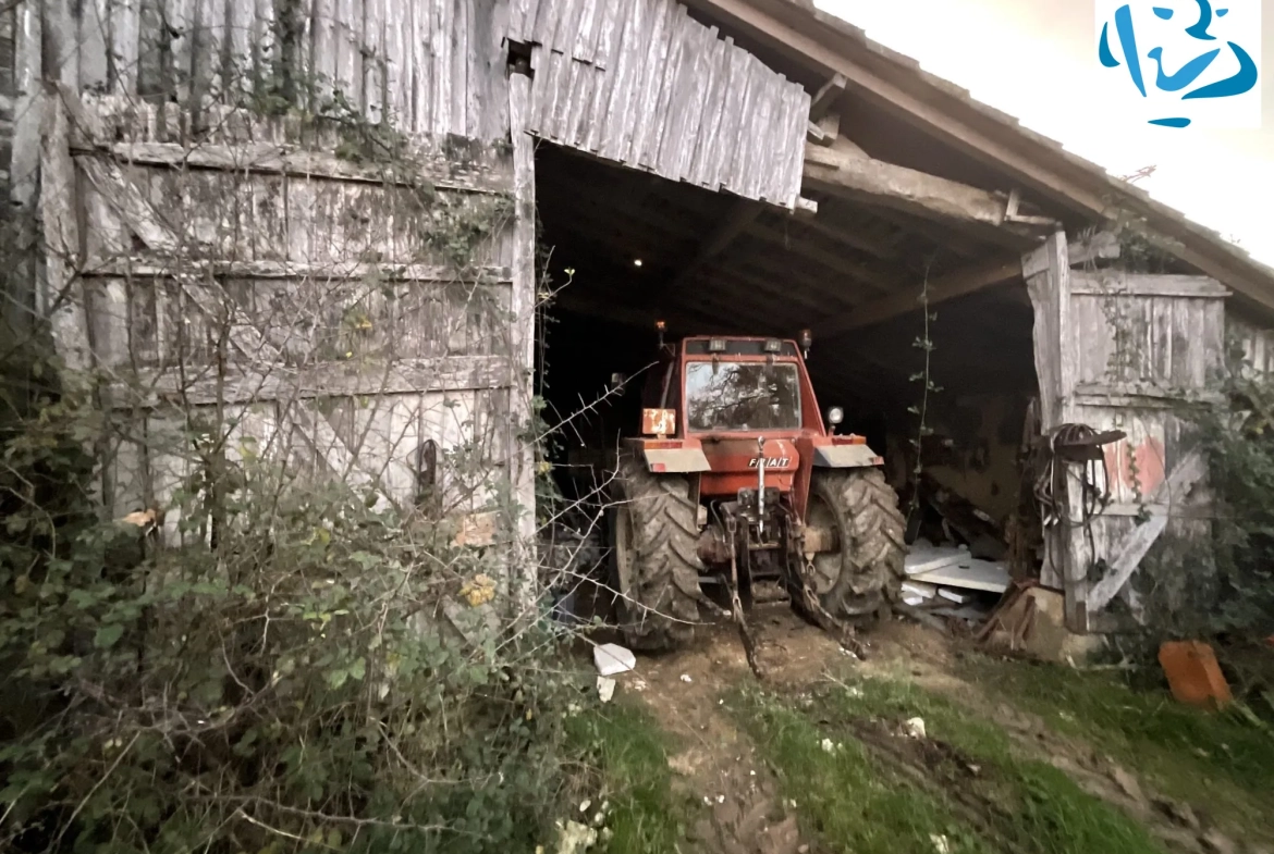 Maison ancienne à rénover à Sérignac avec grand terrain et dépendances 