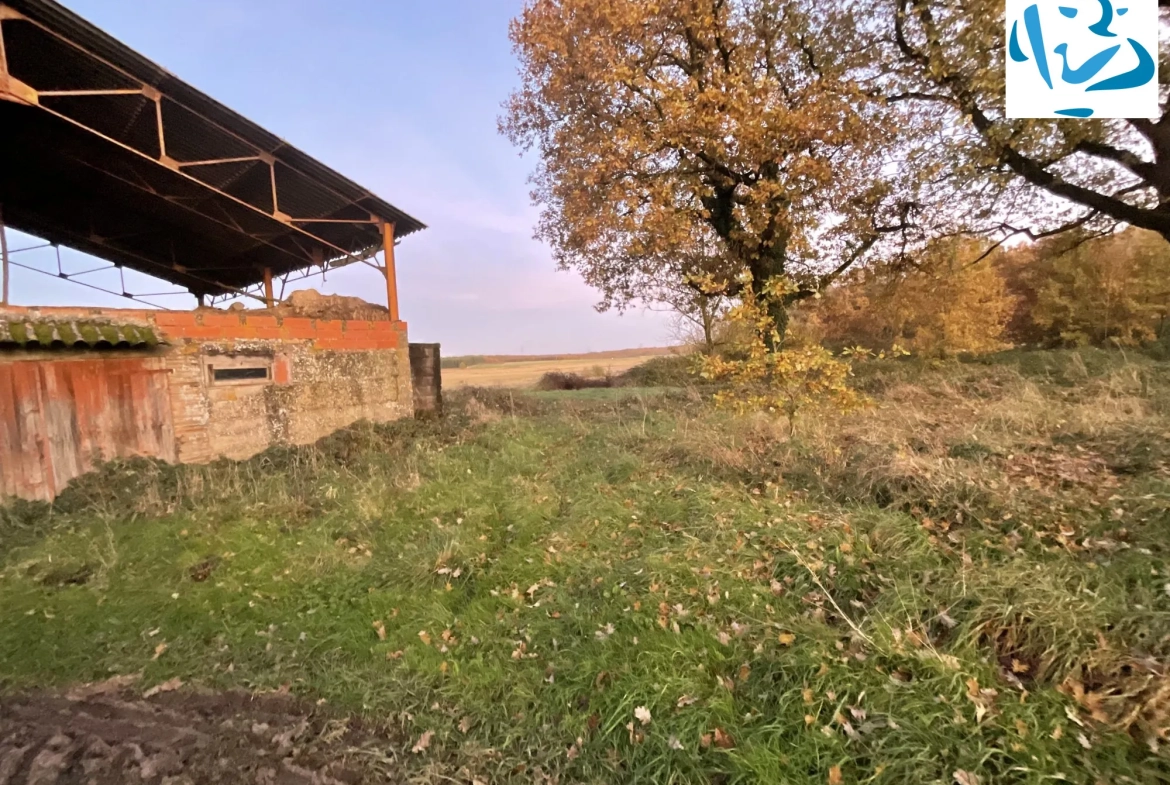 Maison ancienne à rénover à Sérignac avec grand terrain et dépendances 