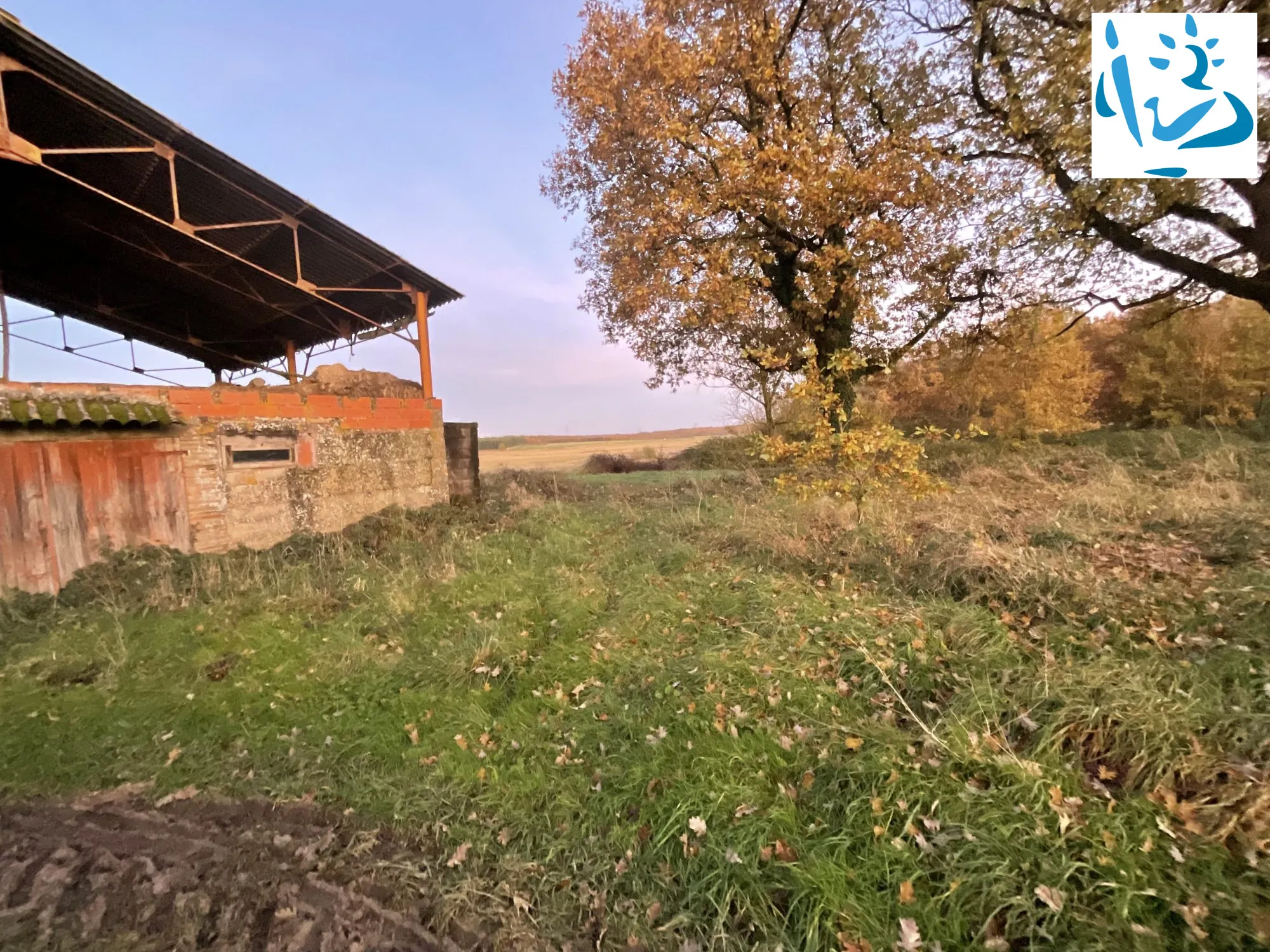 Maison ancienne à rénover à Sérignac avec grand terrain et dépendances 