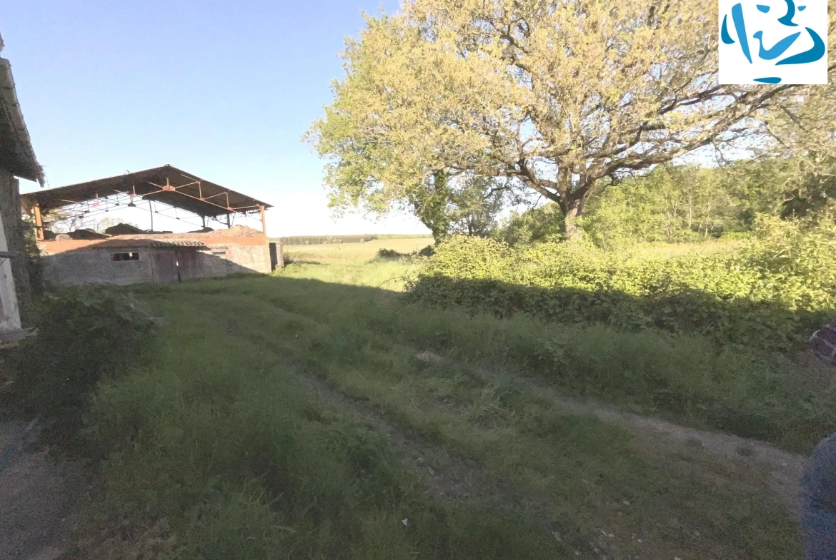 Maison ancienne à rénover à Sérignac avec grand terrain et dépendances 