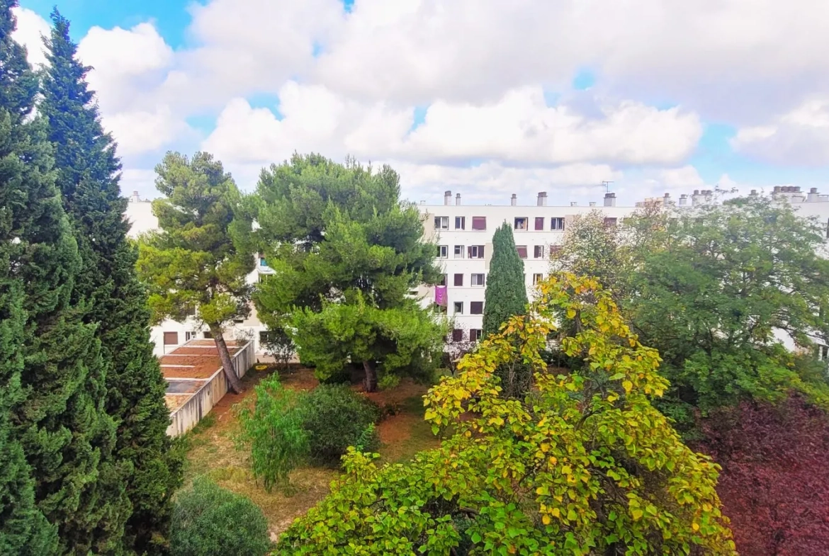 Bel appartement T3/T4 rénové à Montpellier Mas Drevon avec balcon et cave 