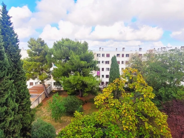 Bel appartement T3/T4 rénové à Montpellier Mas Drevon avec balcon et cave