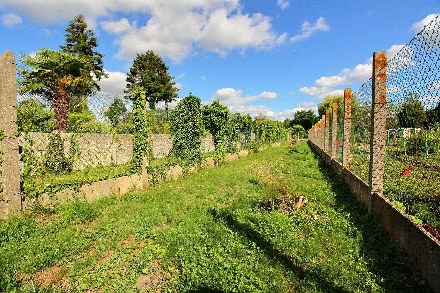 Maison à vendre à Lillers avec jardin, terrasse et potentiel de rénovation 