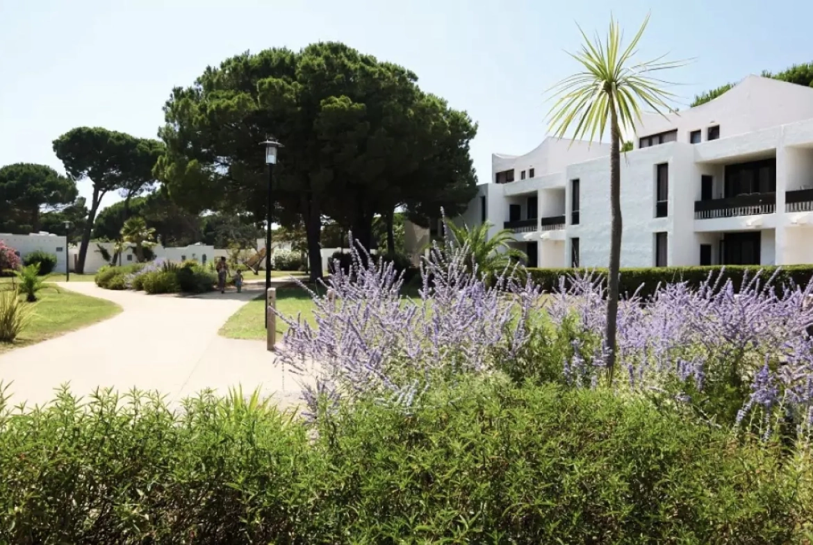 Investissez dans un appartement meublé avec terrasse à La Grande Motte - Opportunité LMNP 
