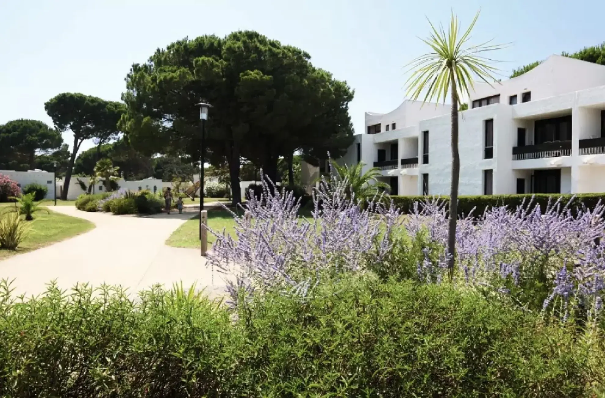 Investissez dans un appartement meublé avec terrasse à La Grande Motte - Opportunité LMNP 