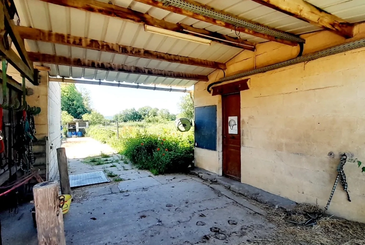 Centre équestre à vendre à Marsangy - Équipements complets et sécurisé 