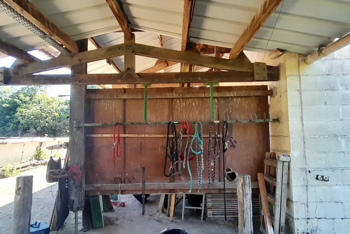 Centre équestre à vendre à Marsangy - Équipements complets et sécurisé 