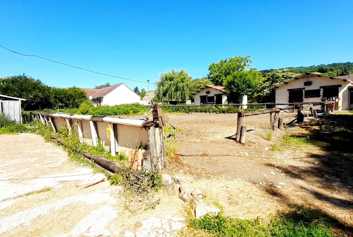 Centre équestre à vendre à Marsangy - Équipements complets et sécurisé 