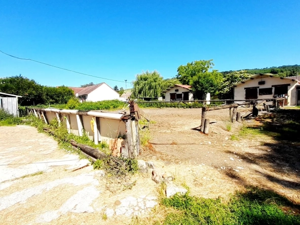 Centre équestre à vendre à Marsangy - Équipements complets et sécurisé