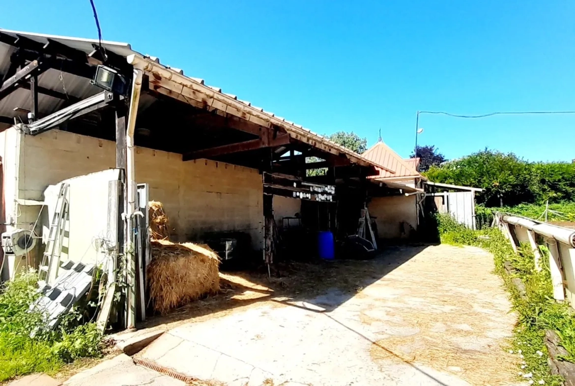 Centre équestre à vendre à Marsangy - Équipements complets et sécurisé 