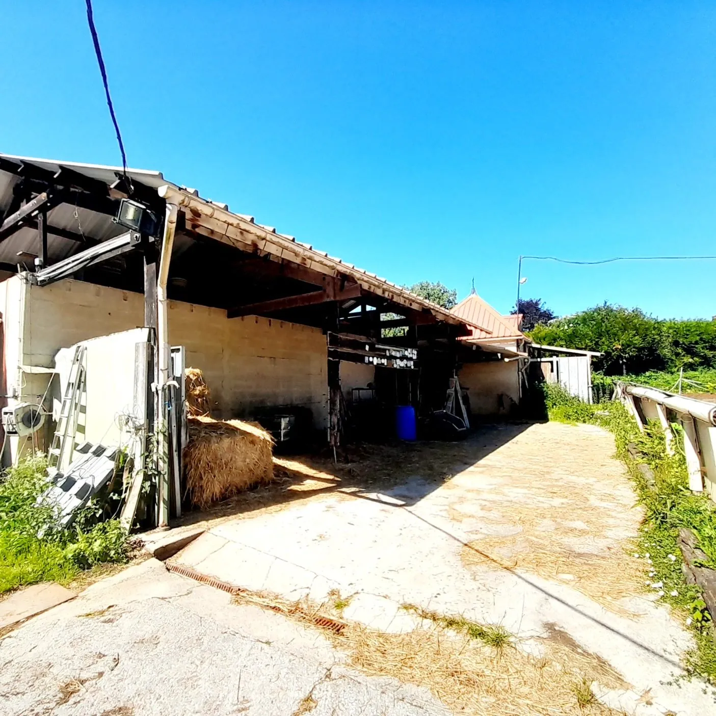 Centre équestre à vendre à Marsangy - Équipements complets et sécurisé 