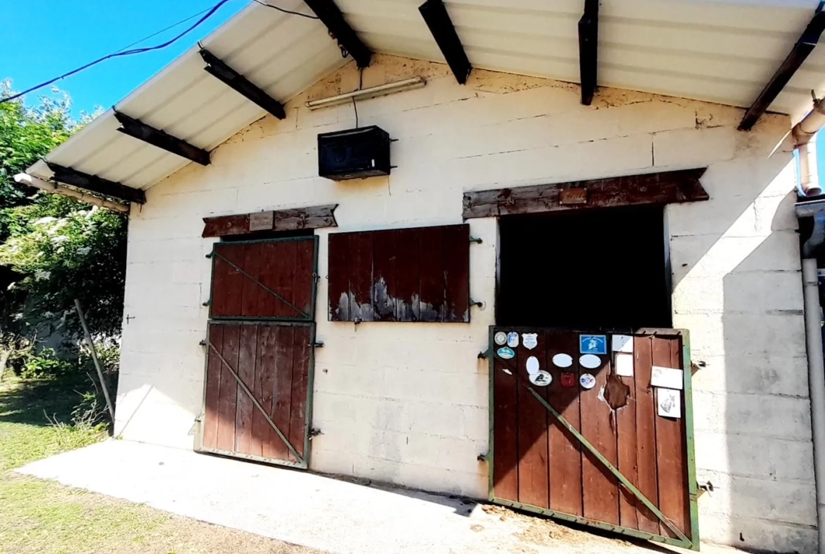 Centre équestre à vendre à Marsangy - Équipements complets et sécurisé 