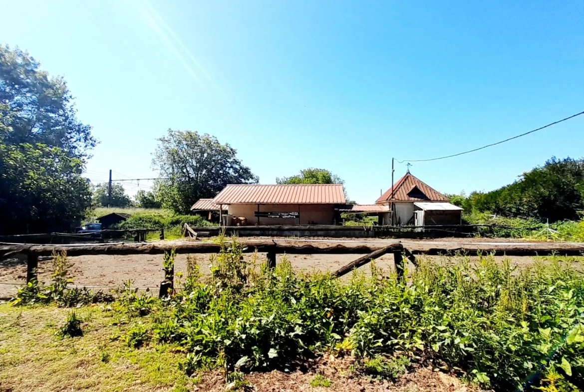 Centre équestre à vendre à Marsangy - Équipements complets et sécurisé 