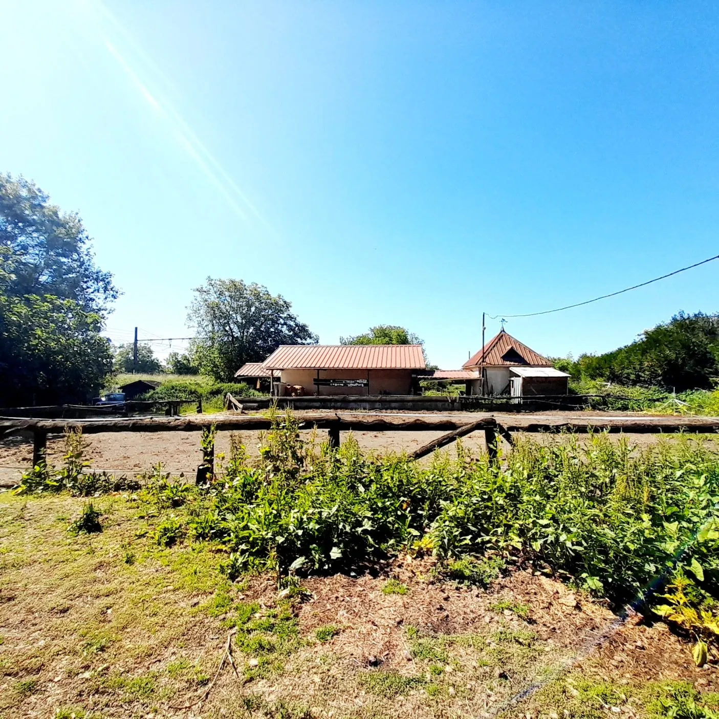Centre équestre à vendre à Marsangy - Équipements complets et sécurisé 