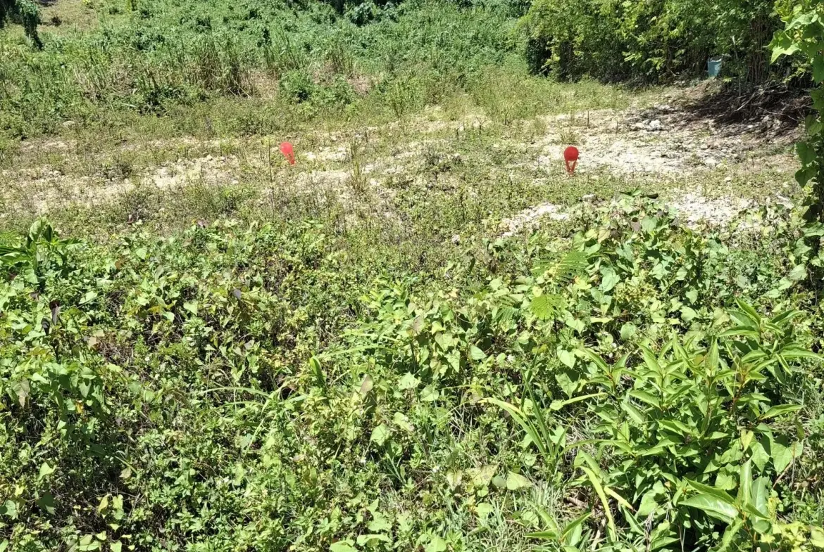 Terrain constructible de 544 m² à Le Gosier - Opportunité rare en Guadeloupe 
