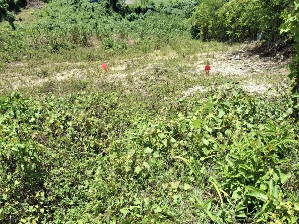 Terrain constructible de 544 m² à Le Gosier - Opportunité rare en Guadeloupe