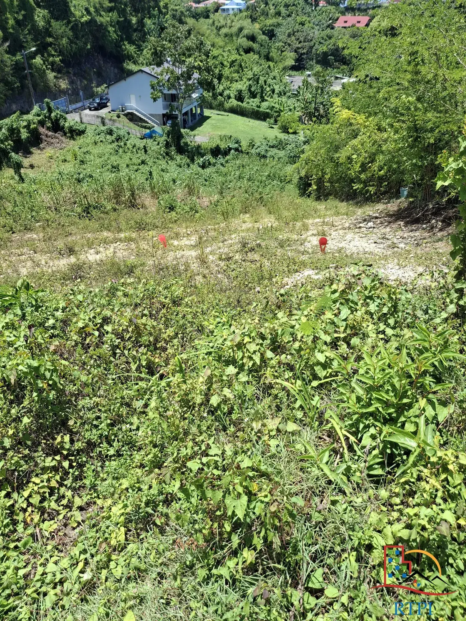 Terrain constructible de 544 m² à Le Gosier - Opportunité rare en Guadeloupe 