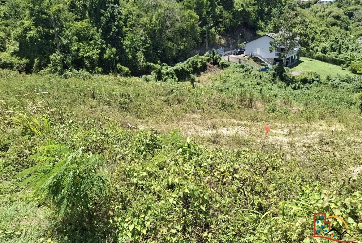 Terrain constructible de 544 m² à Le Gosier - Opportunité rare en Guadeloupe 
