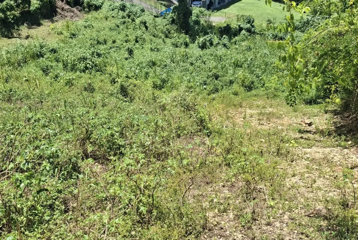 Terrain constructible de 544 m² à Le Gosier - Opportunité rare en Guadeloupe 