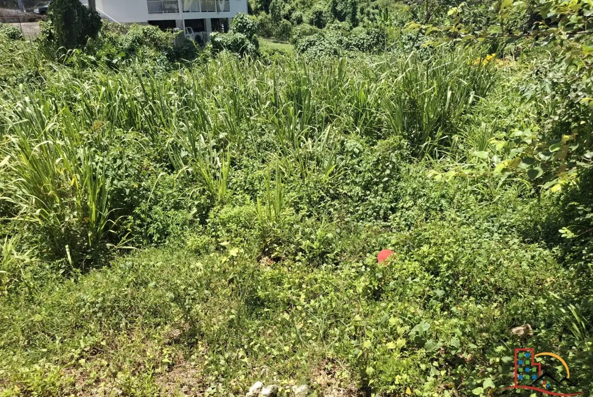 Terrain constructible de 544 m² à Le Gosier - Opportunité rare en Guadeloupe 