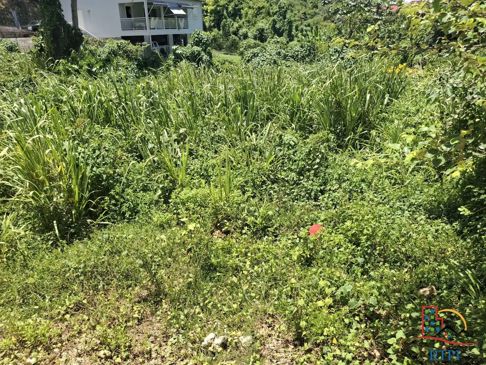 Terrain constructible de 544 m² à Le Gosier - Opportunité rare en Guadeloupe 