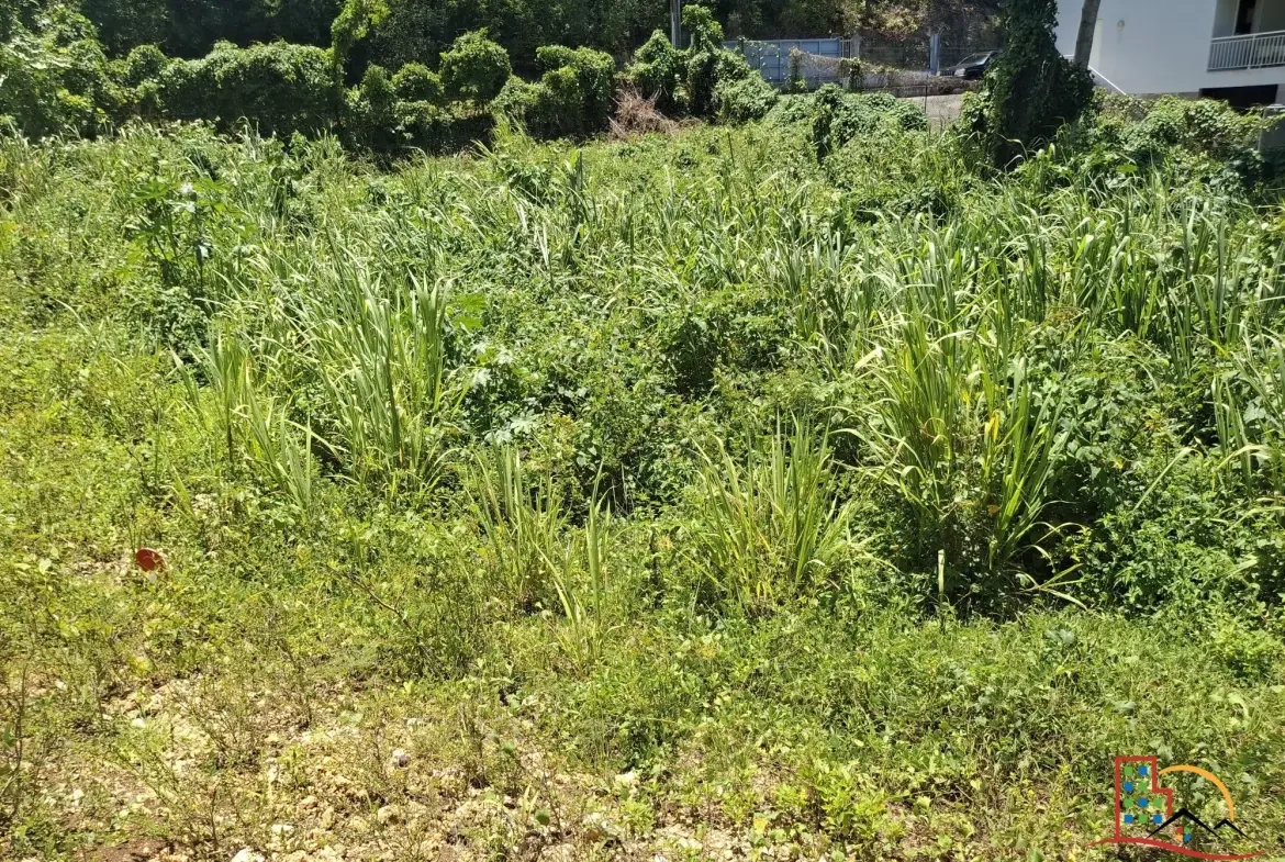 Terrain constructible de 544 m² à Le Gosier - Opportunité rare en Guadeloupe 