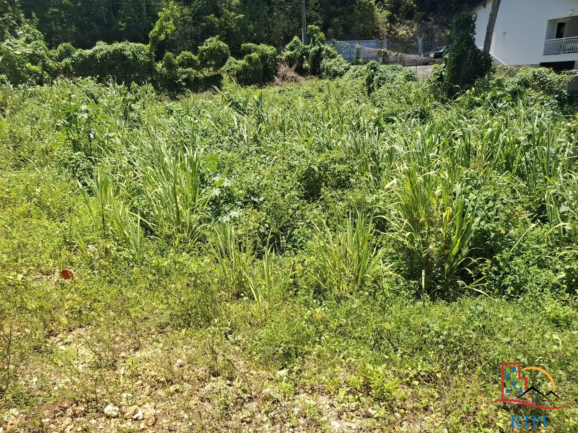 Terrain constructible de 544 m² à Le Gosier - Opportunité rare en Guadeloupe 