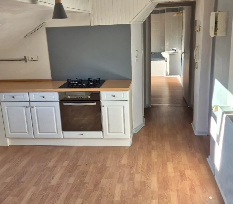 Appartement T3 atypique à Forbach proche centre-ville – 58 m², parking et cave 