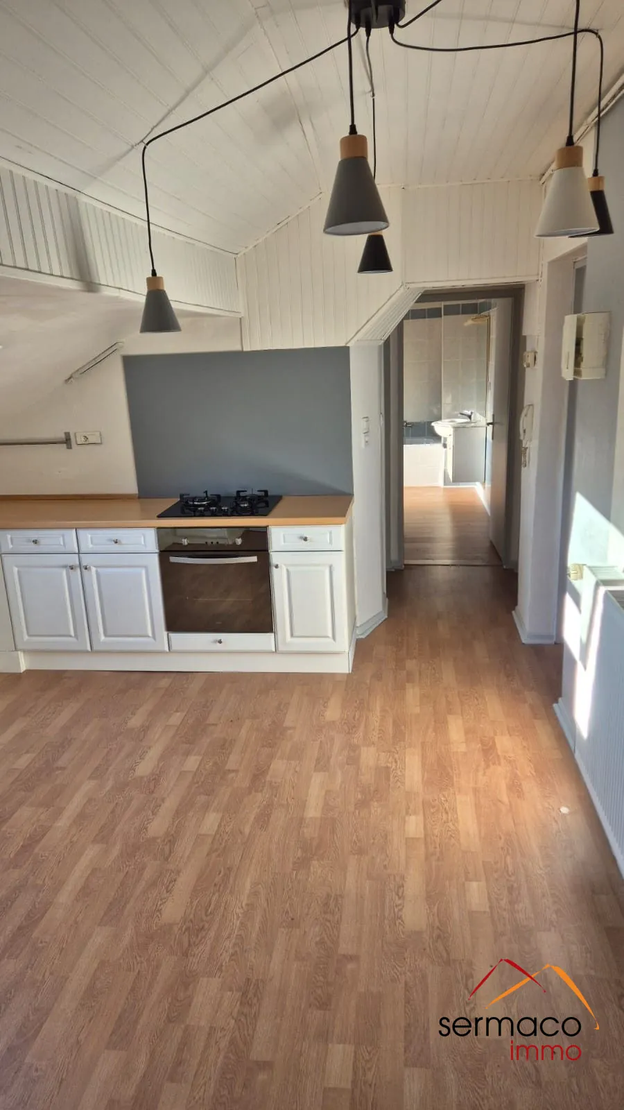 Appartement T3 atypique à Forbach proche centre-ville – 58 m², parking et cave 