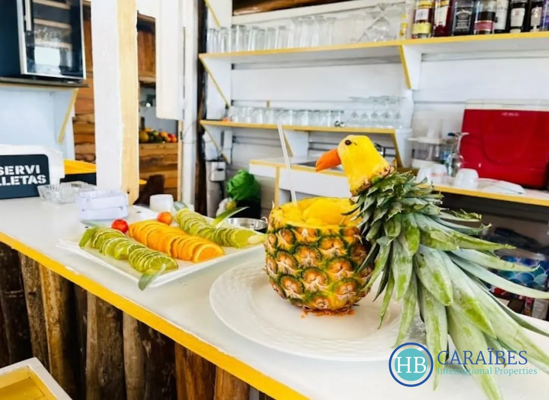Fonds de commerce restaurant/bar à Las Terrenas en République Dominicaine 