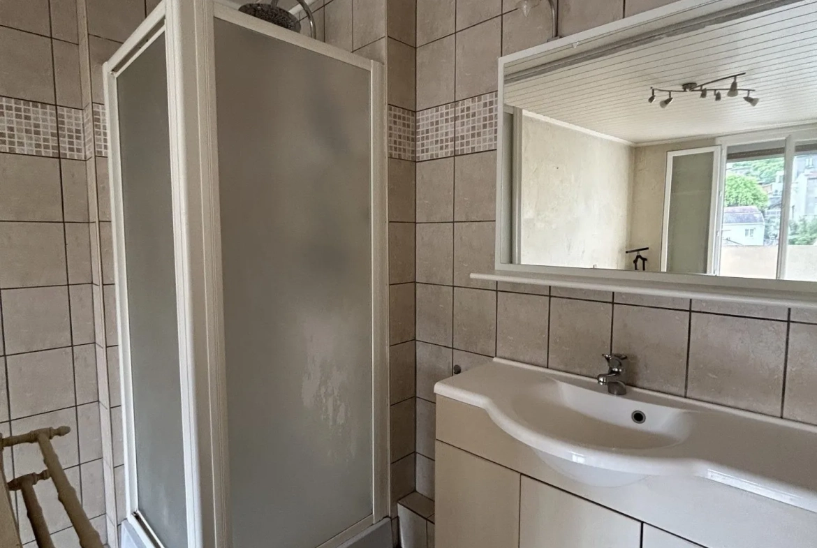 Appartement T3 à vendre à Saint-Étienne - 62 m², dernier étage, balcon, cave 