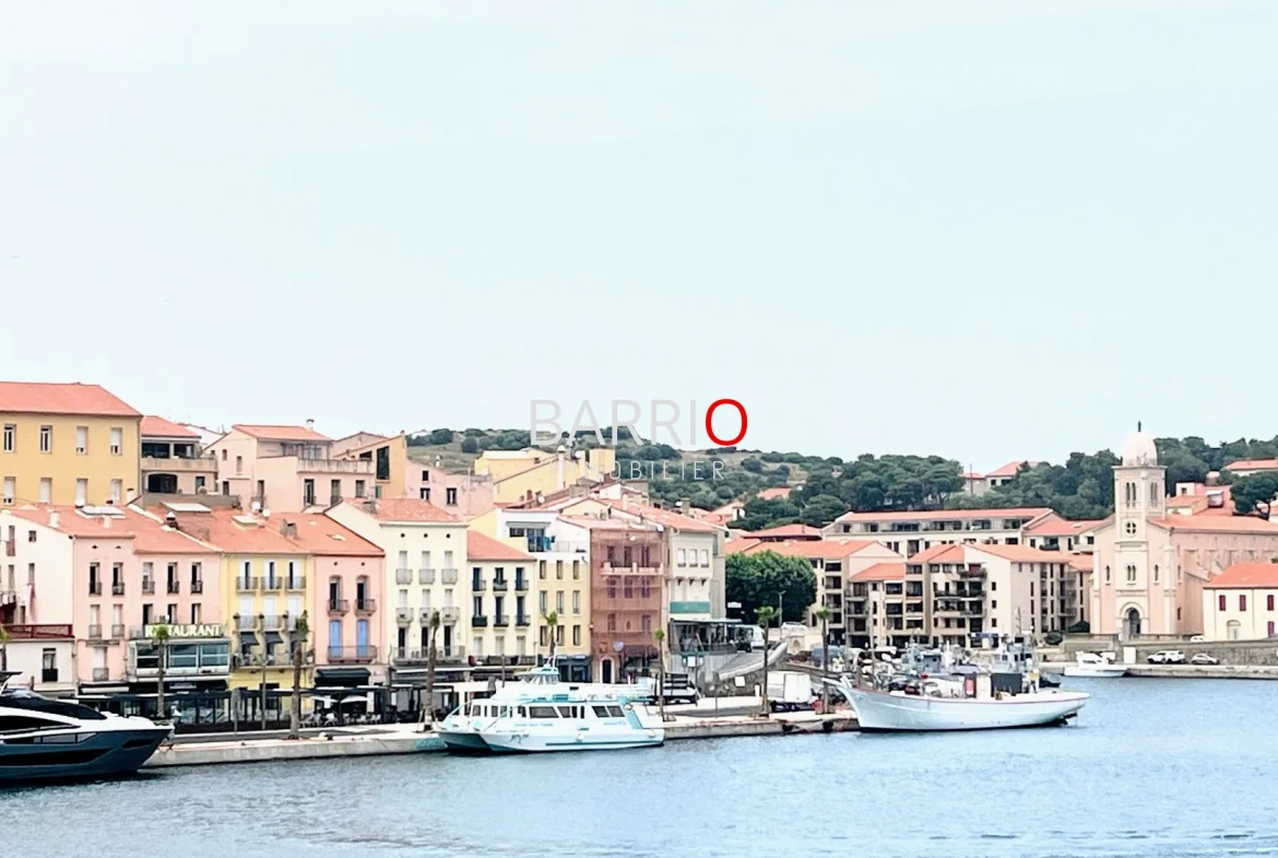 Appartement T3 avec Vue Mer à Port-Vendres - 55 m², proximité commodités 