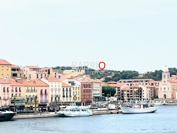 Appartement T3 avec Vue Mer à Port-Vendres - 55 m², proximité commodités