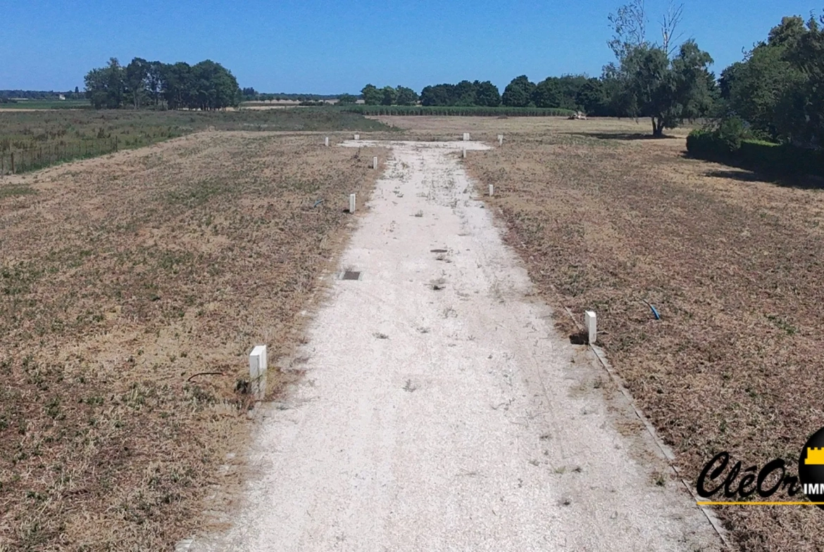 Terrain constructible à Seurre - Parcelle viabilisée de 596 m² à vendre 