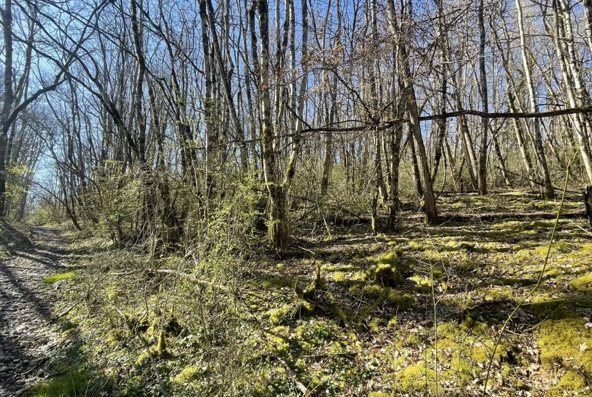 Terrain boisé non constructible de 3498 m² à Villefranche-de-Rouergue 