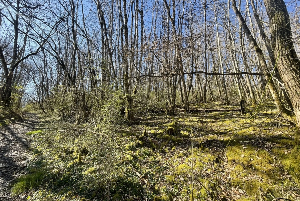 Terrain boisé non constructible de 3498 m² à Villefranche-de-Rouergue 