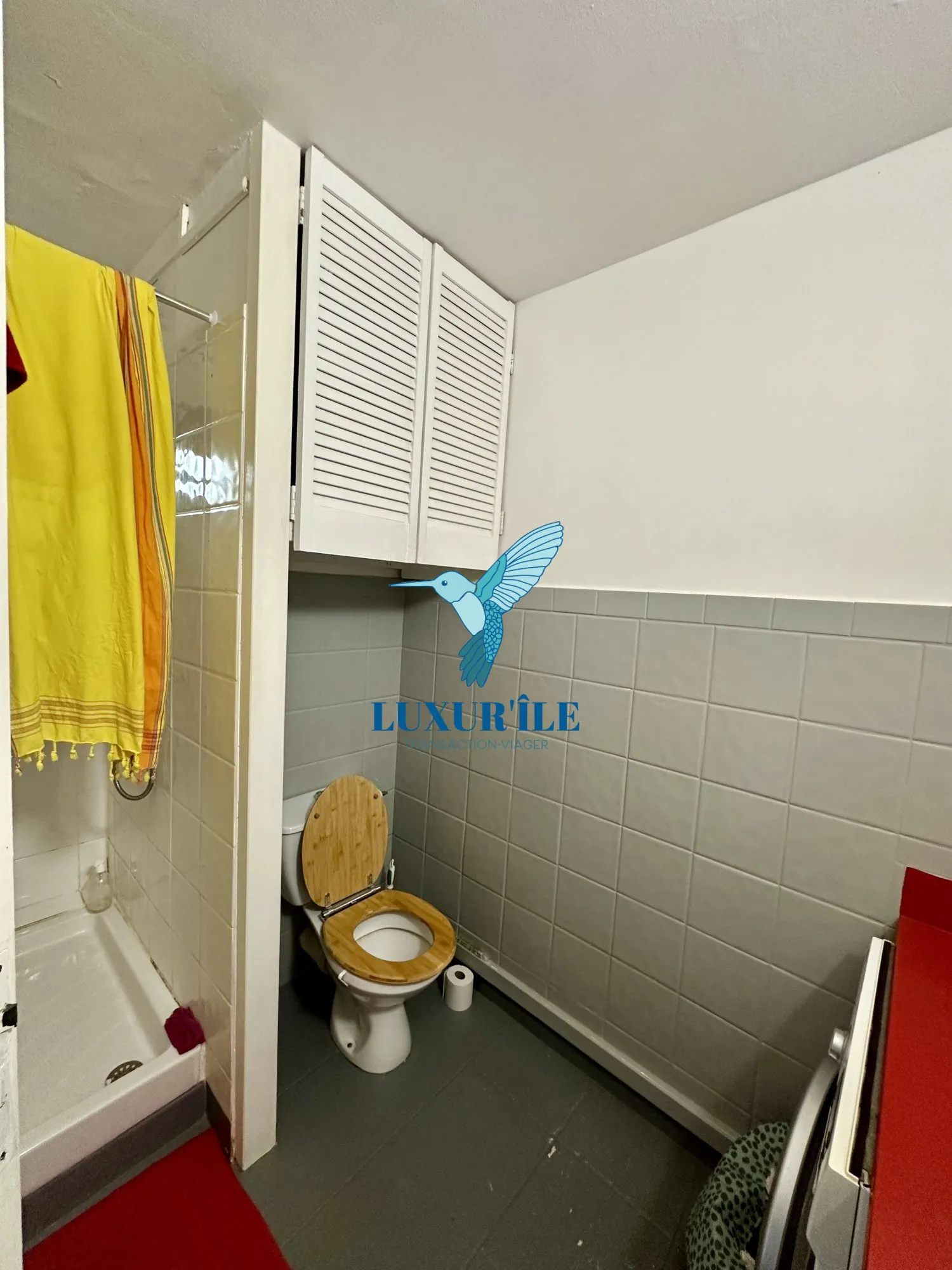 Grand studio en rez-de-jardin avec piscine à Saint-Martin, proche plage de la Baie Orientale 