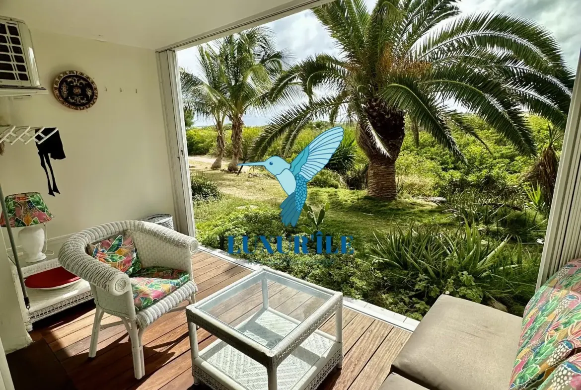 Grand studio en rez-de-jardin avec piscine à Saint-Martin, proche plage de la Baie Orientale 