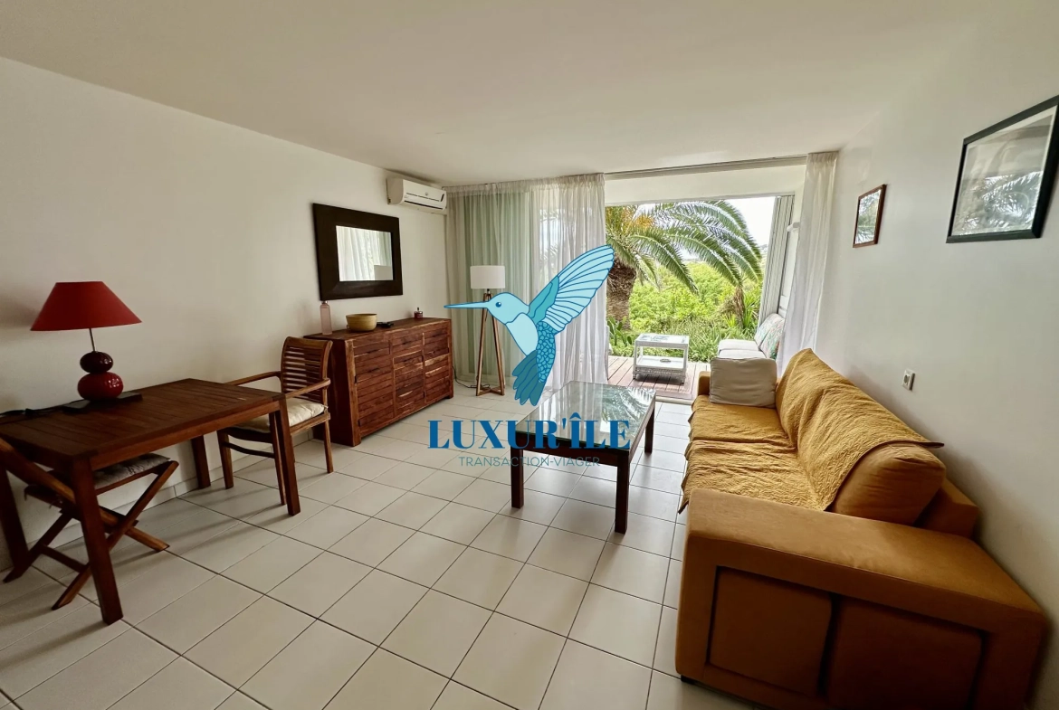 Grand studio en rez-de-jardin avec piscine à Saint-Martin, proche plage de la Baie Orientale 