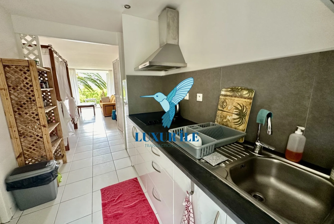 Grand studio en rez-de-jardin avec piscine à Saint-Martin, proche plage de la Baie Orientale 